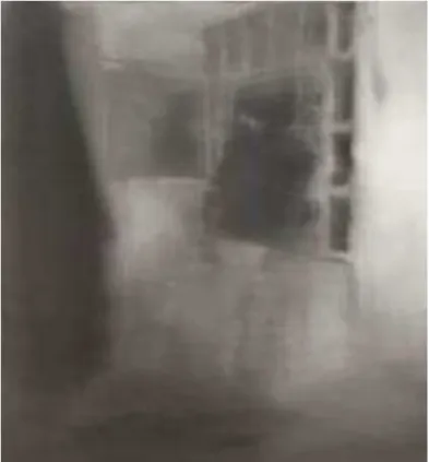 Fig. 25. Gerhard Richter. Pendue. Óleo sobre tela, 1988. 