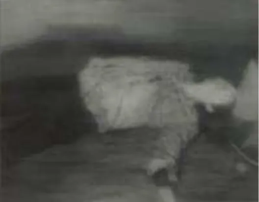 Fig. 28. Gerhard Richter. Abattu par balle 2. 