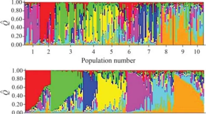 Figure 2 - Population structure analysis based on multilocus genotyping data of the ten investigated Tall coconut populations