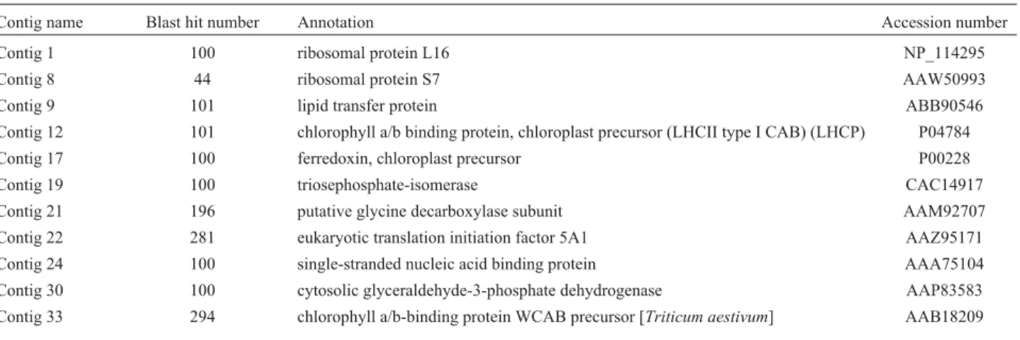 Table 2 - Contigs that showed homology to genes with proteins matching Triticum aestivum identified in a BlastX search of the NCBI database.
