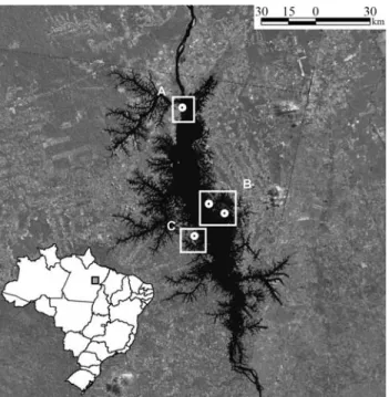 Figure 1 - Map of the study area based on satellite imagery, showing the Tucuruí reservoir (center) and the sampling localities mentioned in the text