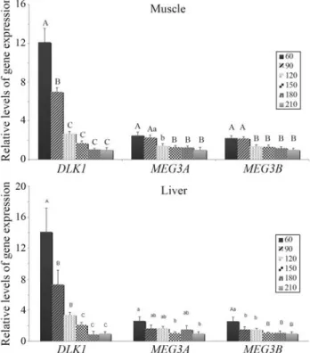 Figure 1 - DLK1, MEG3 var.1 and MEG3 var. 2 gene expession in various porcine tissues at 60 and 210 days after birth