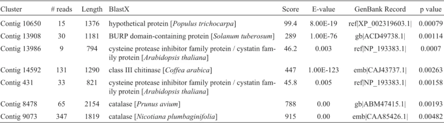 Table 2- Contigs differentially expressed between libraries containing the responses to biotic stress challenges and other libraries from the Brazilian Cof- Cof-fee Genome Project