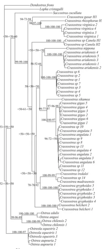 Figure 2 - Neighbor-joining (NJ) tree for Ostreinae based on COI.