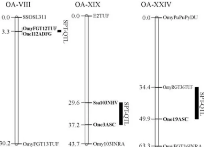 Figure 1 - Map positions of the markers linked to spawning time QTLs used in this work (indicated in bold)