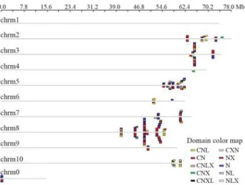 Table 1 - The number of genes that encode domains similar to NBS genes in the Sorghum bicolor genome.
