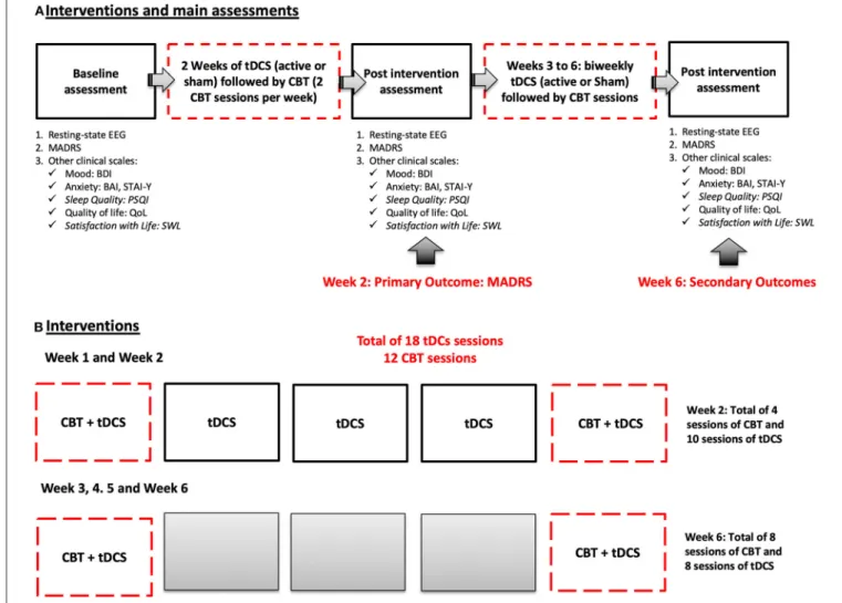 FIGURE 2 | Schematic representation of the main phases of the trial. (A) Shows the timeline of assessments