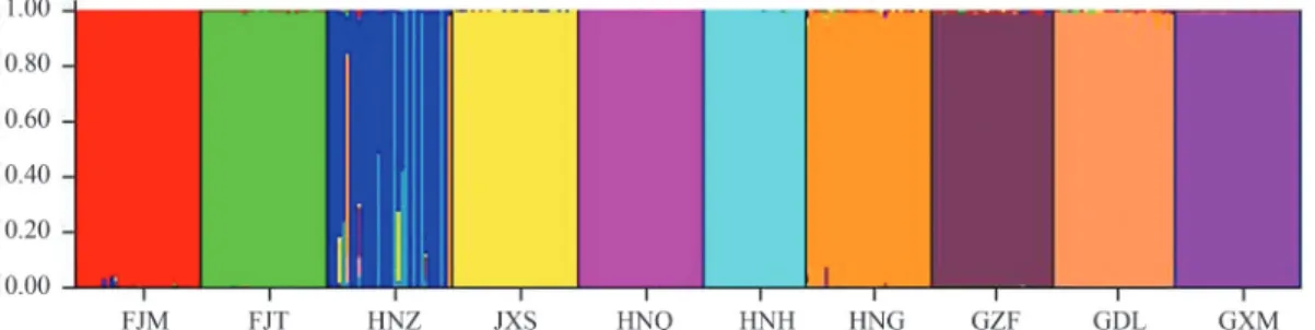 Figure 2 - Genetic structure of N. longibracteata populations as defined by STRUCTURE (K = 11) using prior information of population origin.