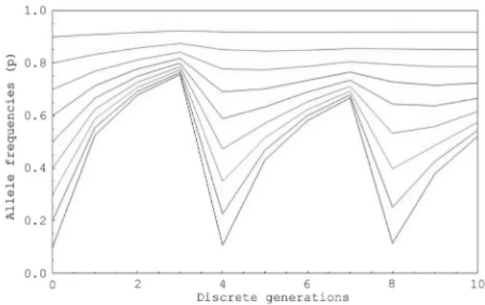 Figure 1 - Oscillatory convergence of allele frequencies (ordinate axis) to equilibrium points for populations starting with initial allele frequencies of p 0 = 0.1, ..., 0.9 and T = 1 generation of delayed larval development over a period of 10 discrete g