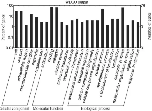 Figure 3 - GO classification of the proteins identified in E. taeniura liver. The proteins were grouped into three main categories and 25 subcategories