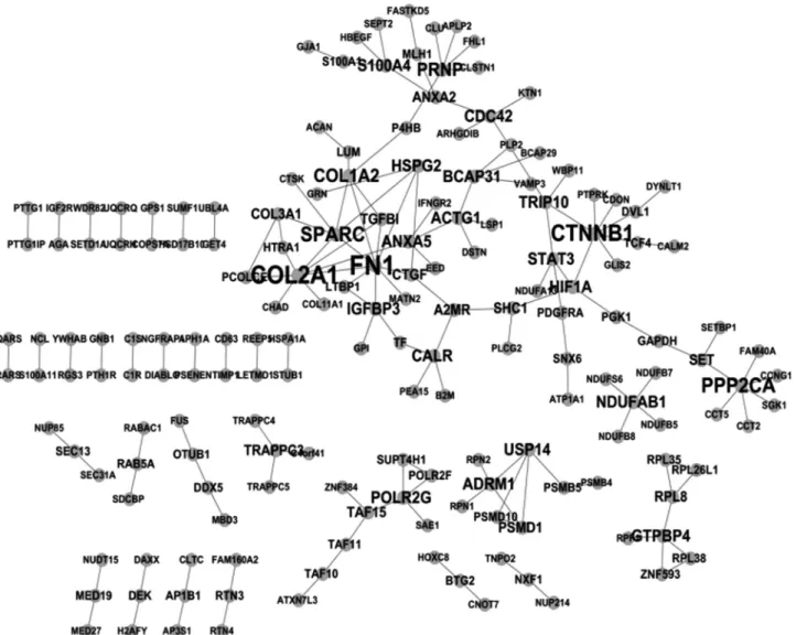 Figure 1 - Protein-protein interaction network for IVDD_UP genes. The larger the font size, the greater the number of interacting partners per node.