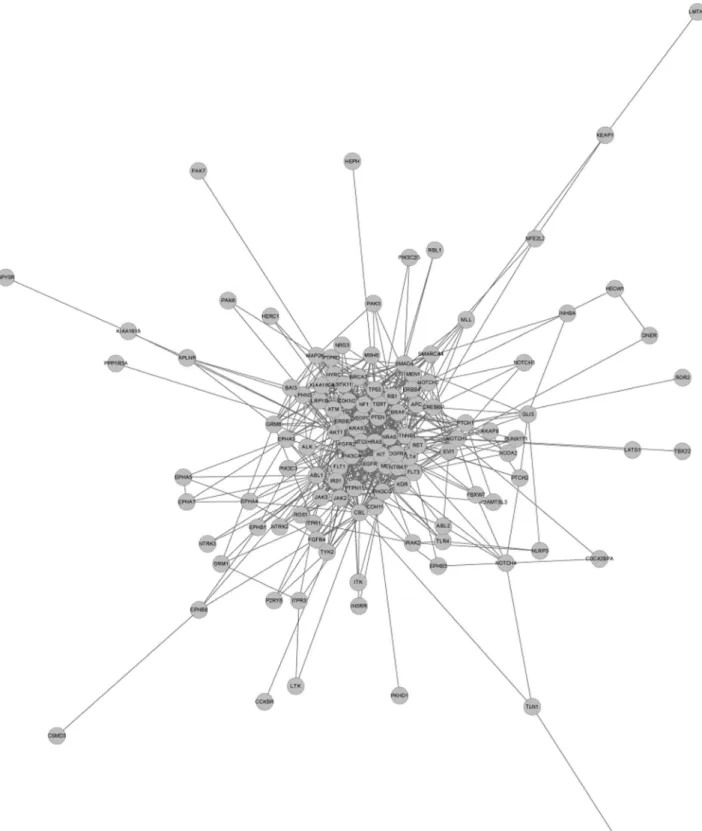 Figure 4 - Protein-protein interaction (PPI) network for somatic mutations in lung cancer genes (genes which have no relationship with this main network are not shown).
