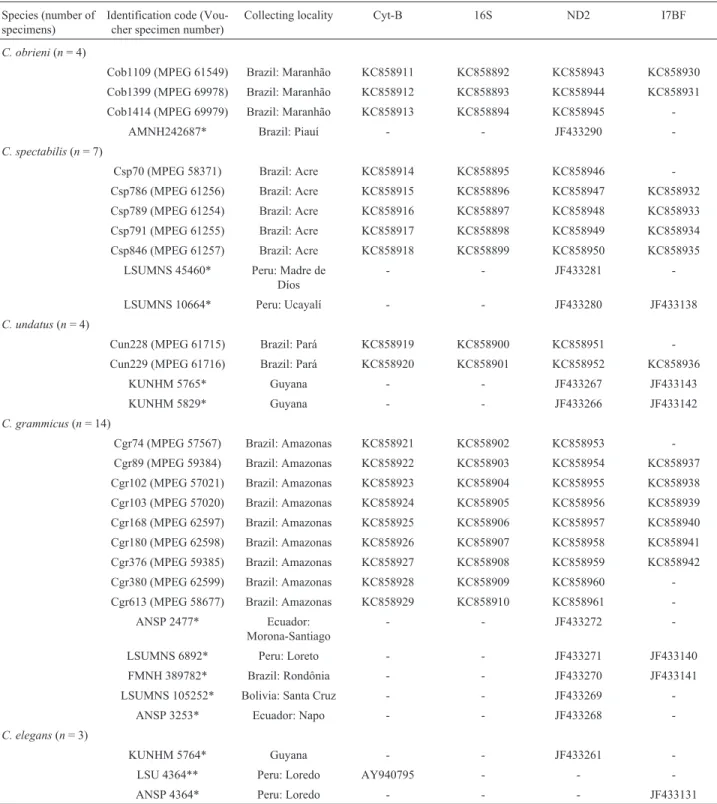 Table 1 - Celeus specimens analyzed in the present study, showing the species name, number of specimens analyzed, identification code, collecting local- local-ity, and GenBank accession numbers for the sequences of the different molecular markers analyzed.