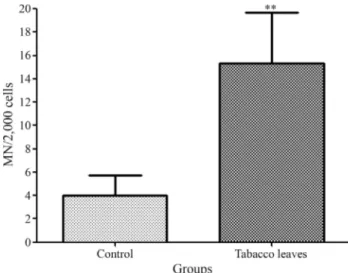 Figure 1 - Detection of micronuclei (MN) in hemolymph cells of Helix aspersa exposed to tobacco leaves