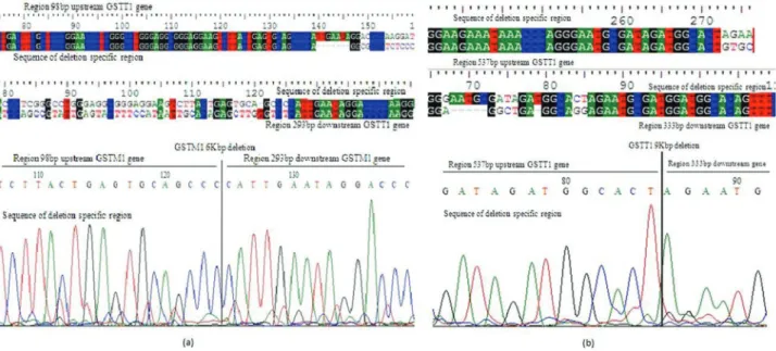 Figure 2 - Agarose gel electrophoresis results showing exonic and dele- dele-tion-specific bands corresponding to homozygous present (+/+),  heterozy-gous (+/-) and homozyheterozy-gous deleted gene (-/-) samples.