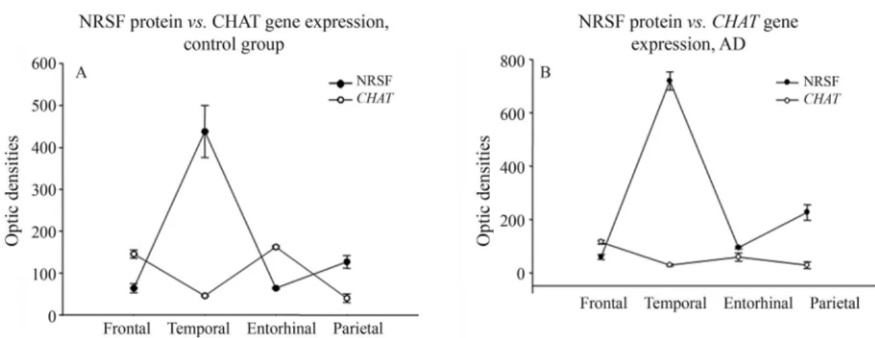 Figure 4 - CHAT gene expression and NRSF protein levels in the frontal, temporal, entorhinal and parietal regions of: A