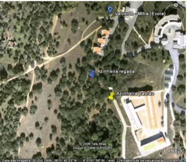 Figura 6 - Vista satélite do local de estudo (extraída do Google earth, 2007) 