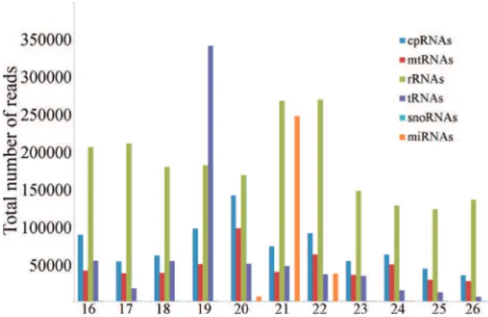 Figure 1 - Abundance of the different classes of sequences found in the C.