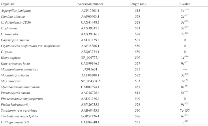 Table 1 - CYP51 proteins deposited in GenBank used for sequence and phylogenetic analyses.