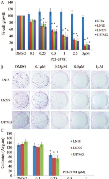 Figure 1 shows the effect of treating normal astro- astro-cytes and three malignant glioma cell lines with PCI-24781 for 48 h followed by the MTS and colony formation assays to assess cell proliferation