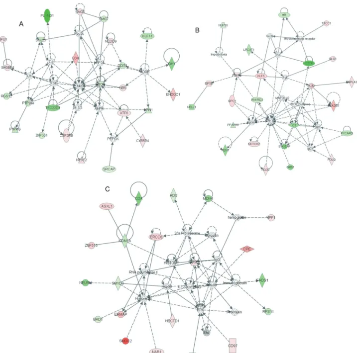Figure 2 - Top networks observed in Ingenuity Pathway Analysis (IPA). (A) Network based on skeletal and muscular system development and function, cellular assembly and organization, cellular growth and proliferation