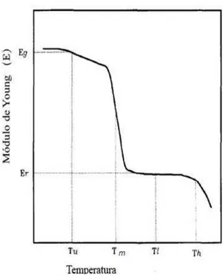 Figura 3-4- Descrição do efeito memória através das variáveis: módulo de Young (E) x  Temperatura (Kim et al., 1996)
