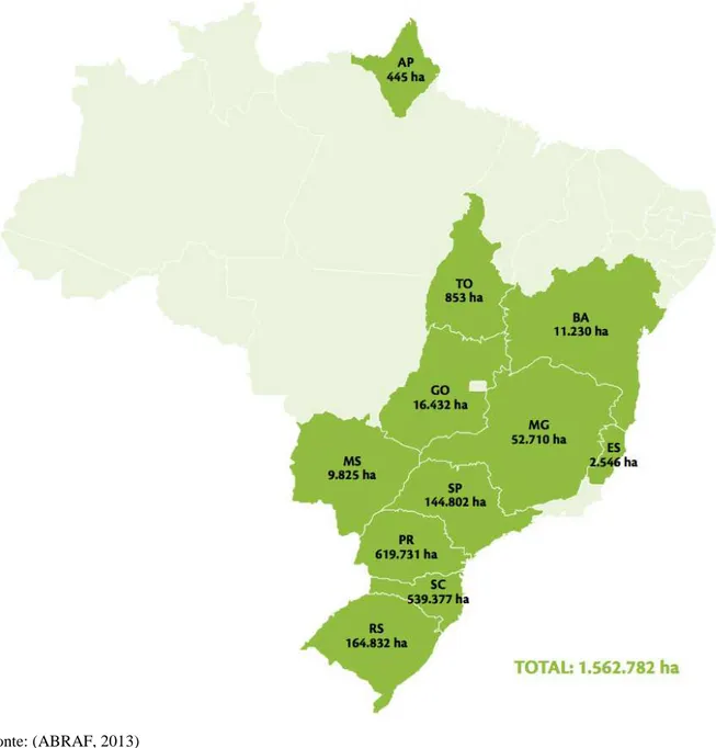 Figura 4 - Distribuição das florestas plantadas de pinus no Brasil em 2009. 