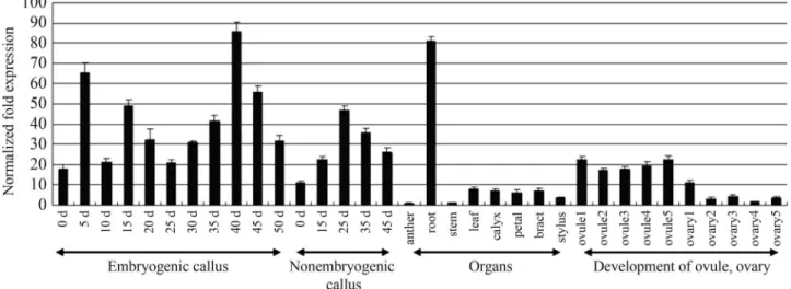Figure 3 - Prokaryotic expression and western blot results of AcSERK3.