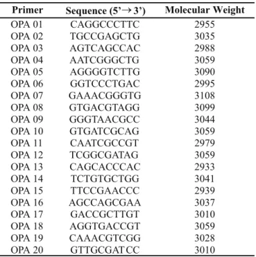 Table 1. Specific base sequences and molecular weight of the Operon Technologies primers.