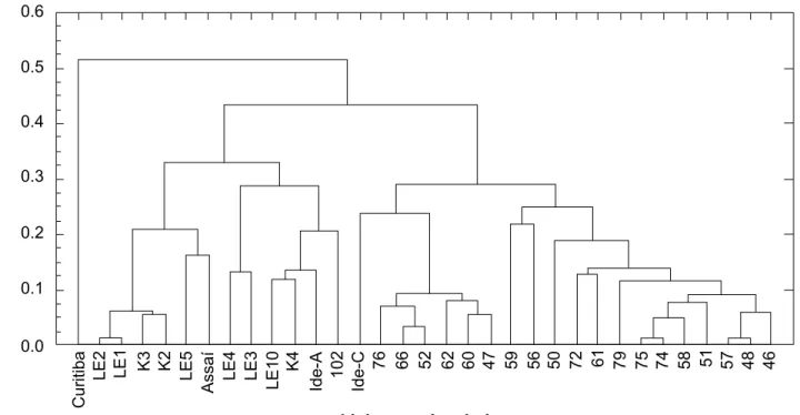 Figure 6. Dendogram from the cluster analysis and genetic distances among 34 L. edodes strains for polymorphism generated by the use of RAPD molecular markers.