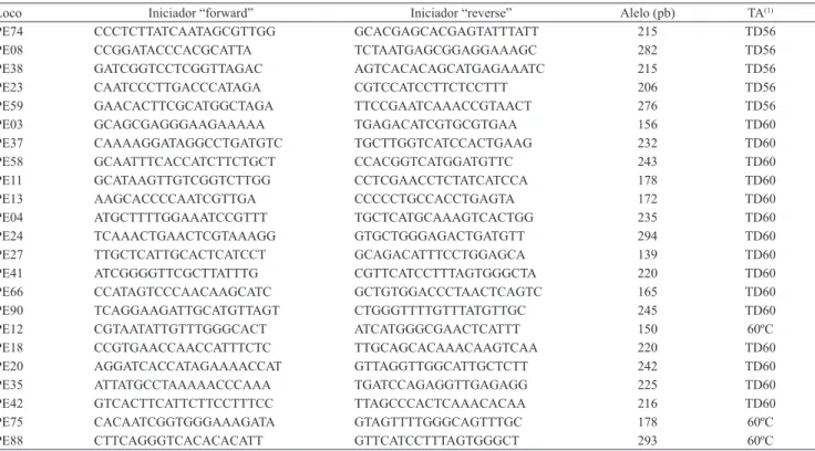 Tabela 1.  Locos microssatélites (SSR), iniciadores, tamanho esperado do alelo em pares de bases (pb), mistura e programa  de temperatura de anelamento (TA) de todos os iniciadores utilizados no estudo.