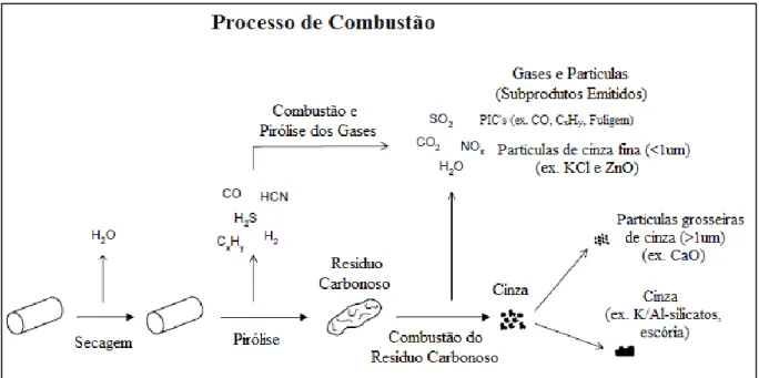 Figura 2 – Esquema do processo de Combustão (adaptado de Boman, 2005).