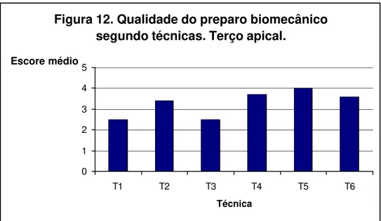 Figura 12. Qualidade do preparo biomecânico  segundo técnicas. Terço apical.