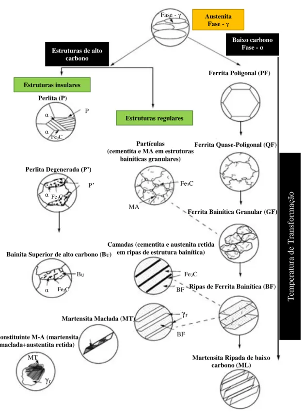 Figura 8 -  Diagrama  de  classificação  das fases e componentes estruturais dos aços ARBL  formados a partir da decomposição da austenita
