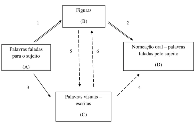 Figura  3.  Diagrama  de  relações.  Linhas  duplas  –   relações  dominadas  pelo  aprendiz;  linha  simples  –  relação ensinada; linhas pontilhadas  –  relações emergentes; os números nas setas  indicam a sequência do experimento e as letras, nos centro