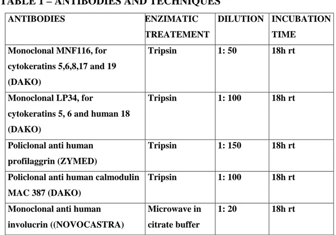 TABLE 1 – ANTIBODIES AND TECHNIQUES  