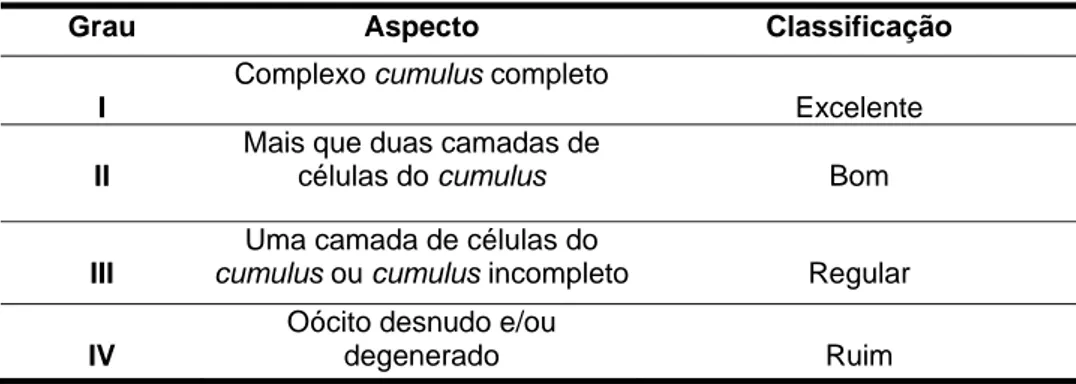 Tabela 1 – Classificação dos complexos cumulus-oócitos obtidos por  laparoscopia.  