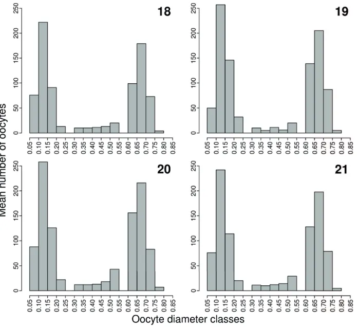 Figs 18-21. Mean frequency of oocytes by diameter class (mm) of mature gonads of female Characidium pterostictum Gomes, 1947 from upstream (fi gure 