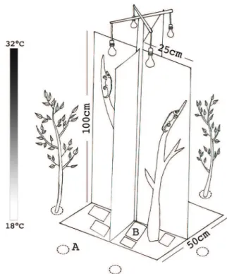 Fig. 1. Thermal gradient scheme: (A) shrubs to create a suitable habitat for  lizards in the gradient; (B) cooling packs.