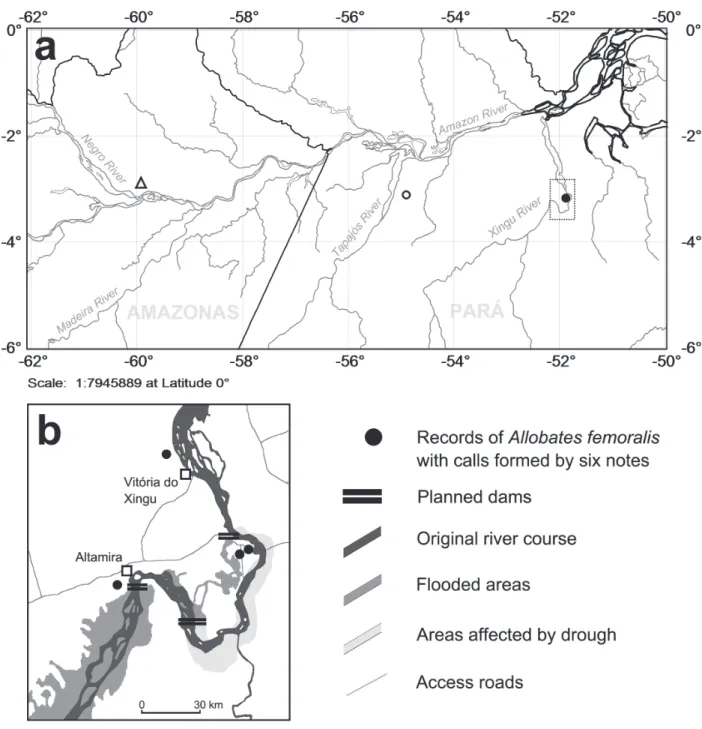 Fig. 1. (A) Location of the study site and sources of Allobates femoralis (Boulenger, 1884) acoustic stimuli in the Central Brazilian Amazon