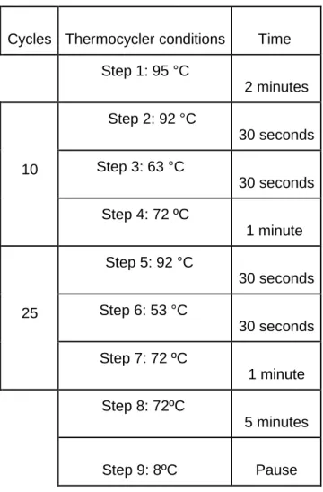 Table 4 - Components and conditions used in the PCR reaction to identify CYK-1(∆1250-1437) mutation