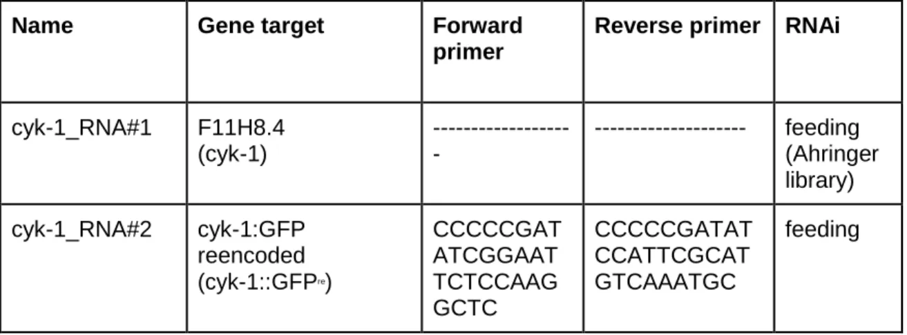 Table 5 - List of dsRNAs used in this study. 
