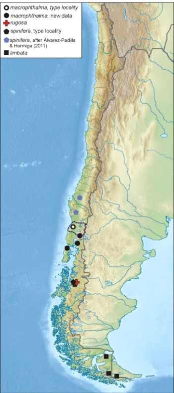 Fig. 36. Distribution of Diphya species known in Chile and Argentina.