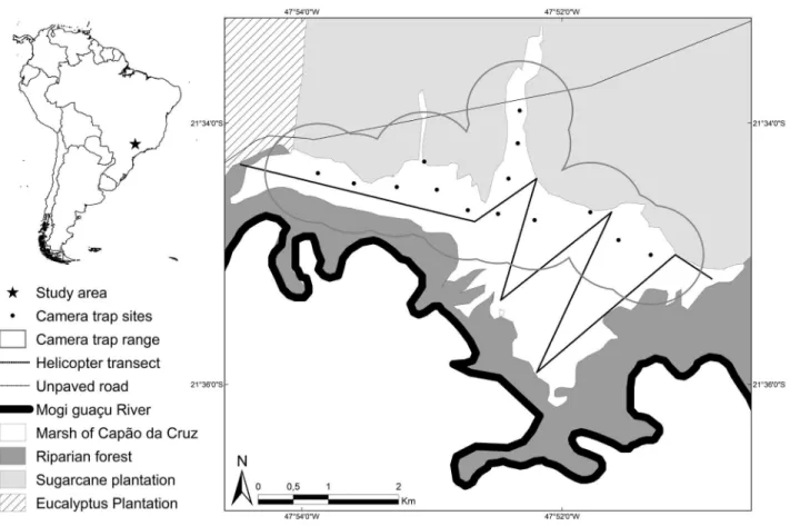 Fig. 1. Map outlining the aerial and camera trap surveys conducted at the Jataí Ecological Station, state of São Paulo, Brazil in order to obtain marsh  deer demographic parameters.