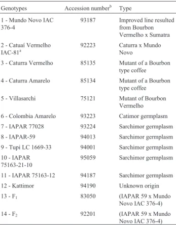 Table 1 - Genotypes, accession numbers and origin types of 14 arabica coffee studied.