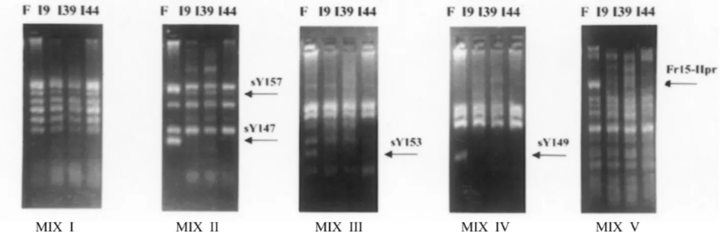 Table 4 - Distribution of AZF microdeletions, and karyotype and meiotic abnormalities according to sperm counts in infertile men.