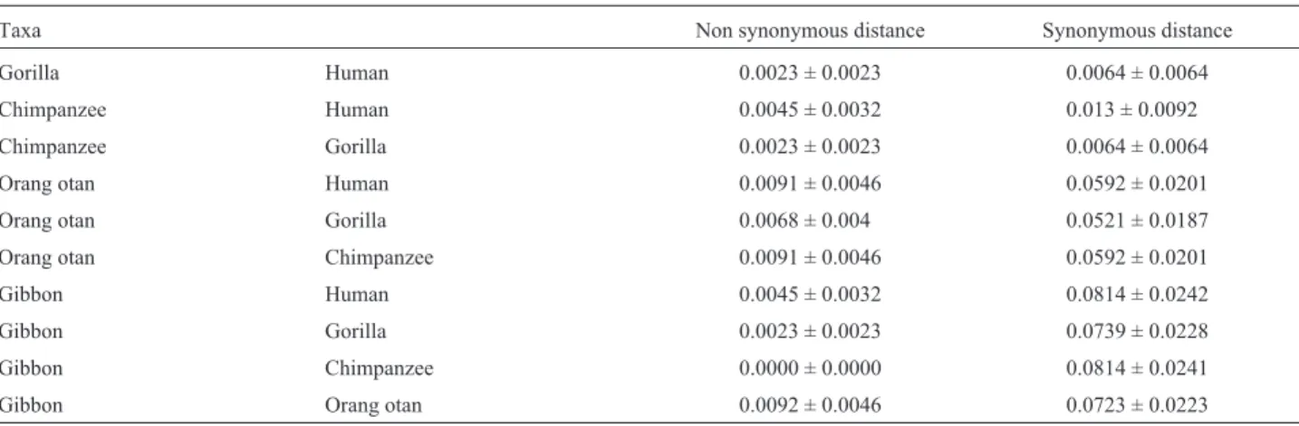Table 2 - Estimation of non synonymous and synonymous rate by the method of Yang &amp; Nielsen (2000 ).