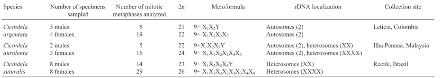 Table 1 - Cytogenetic data and collection sites of the Cicindela species analyzed.