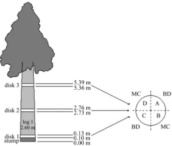 Figure 1 - Sampling positions of log and disks used for wood characteriza- characteriza-tion