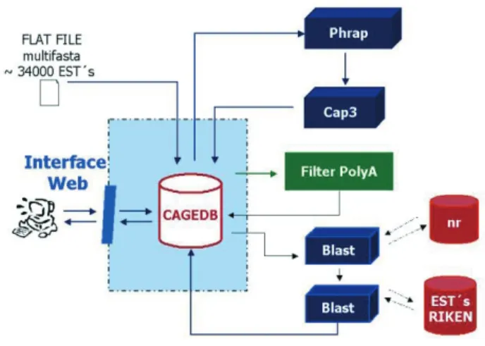 Figure 1 - Pipeline for Gene Classification.